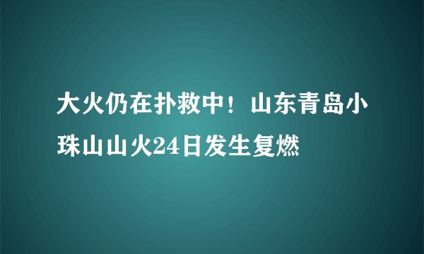 大火仍在扑救中！山东青岛小珠山山火24日发生复燃