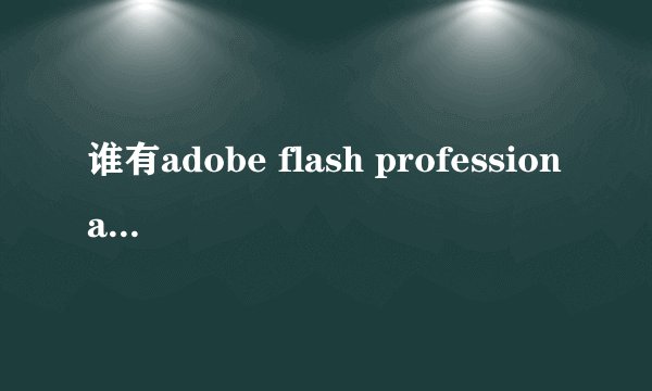 谁有adobe flash professional cs6序列号