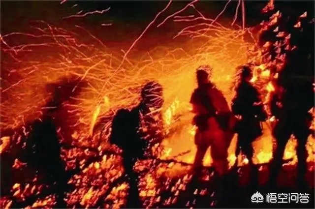 山火爆燃是怎么回事？