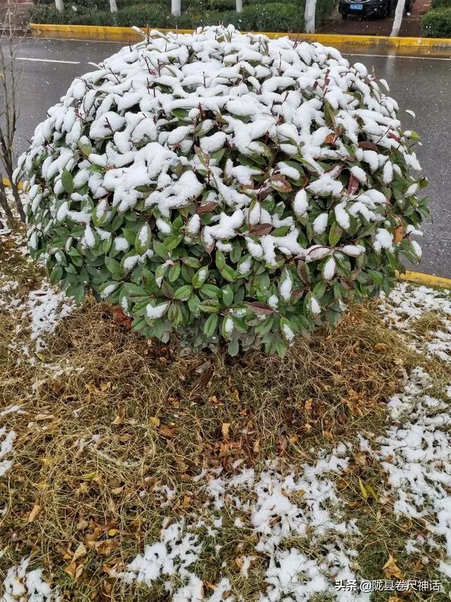 你见过身边有人姓仝（tong）吗？