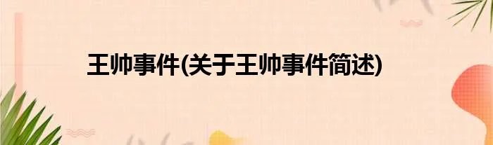 王帅事件(关于王帅事件简述)