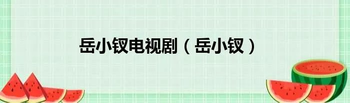 岳小钗电视剧（岳小钗）