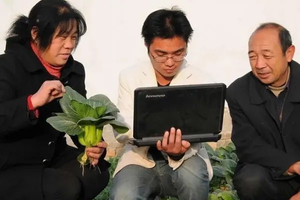 继承菜摊年入百万，你羡慕这种人的人生吗？