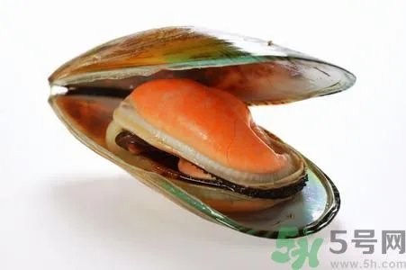 河蚌怎么杀？怎么杀河蚌才可以？