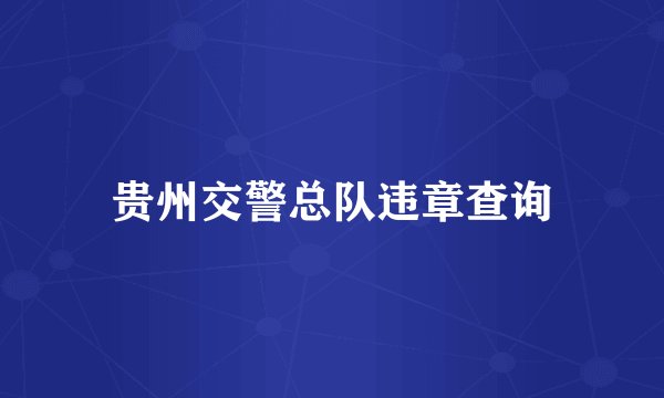 贵州交警总队违章查询