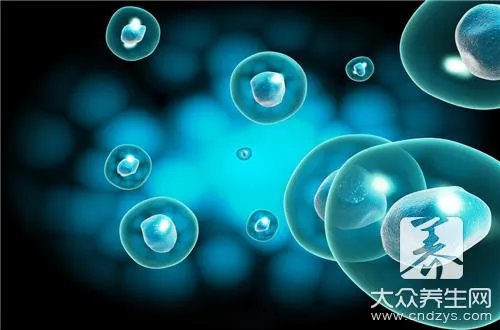 中性粒细胞百分比偏低的原因是什么?怎么办