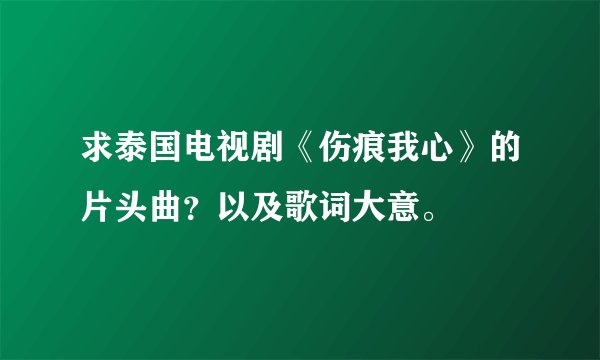求泰国电视剧《伤痕我心》的片头曲？以及歌词大意。