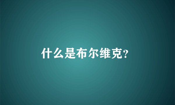 什么是布尔维克？