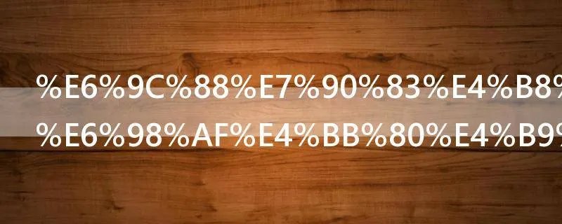 月球上的海是什么