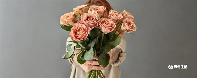 母亲节送妈妈什么花