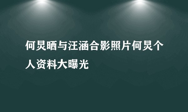 何炅晒与汪涵合影照片何炅个人资料大曝光