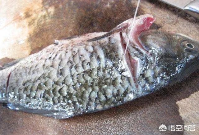 怎样熬鲫鱼汤？