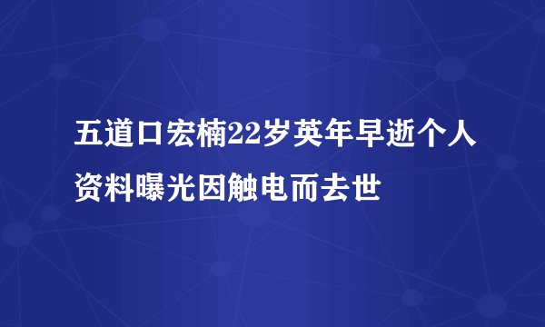 五道口宏楠22岁英年早逝个人资料曝光因触电而去世