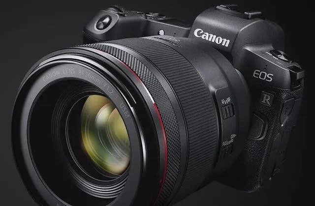 折耳鱼不呼吸在线观看免费