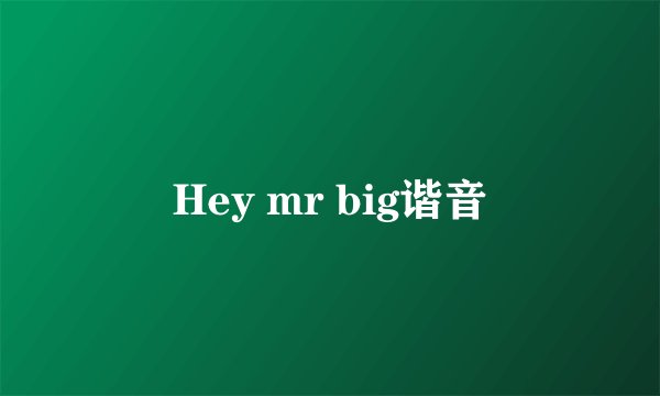 Hey mr big谐音