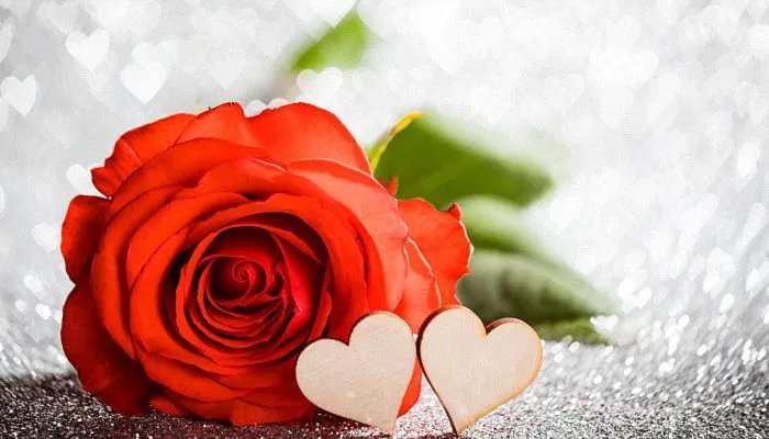 撩女生的情话套路 撩妹子的情话套路搞笑