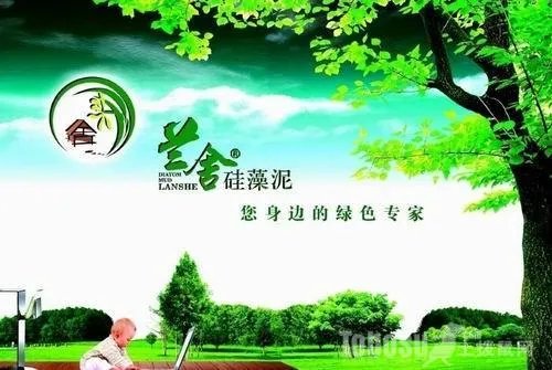 硅藻泥好吗 硅藻泥多少钱一个平方