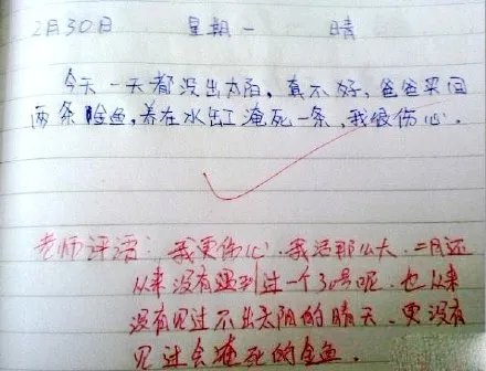 小学生神作文再现，请问小学生你为何这么优秀