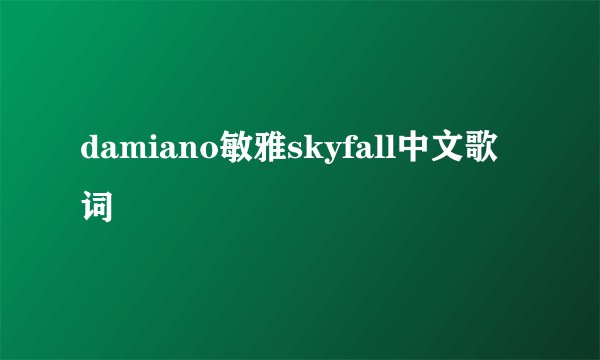 damiano敏雅skyfall中文歌词