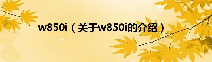w850i（关于w850i的介绍）