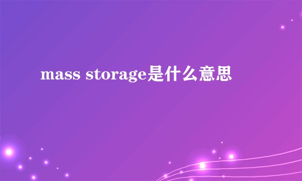 mass storage是什么意思
