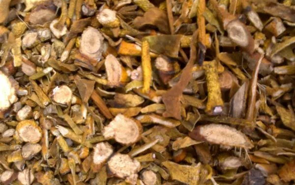 mistletoe是什么东东？