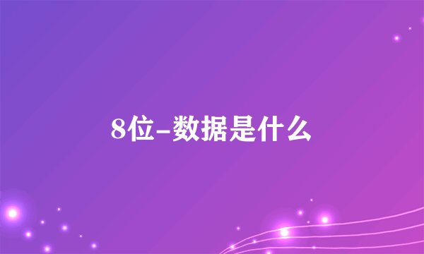 8位-数据是什么