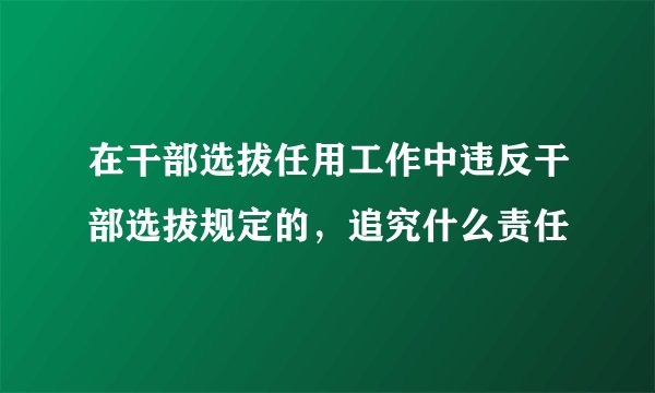 在干部选拔任用工作中违反干部选拔规定的，追究什么责任