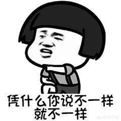 什么是套牌车？