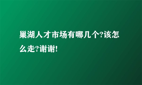 巢湖人才市场有哪几个?该怎么走?谢谢!