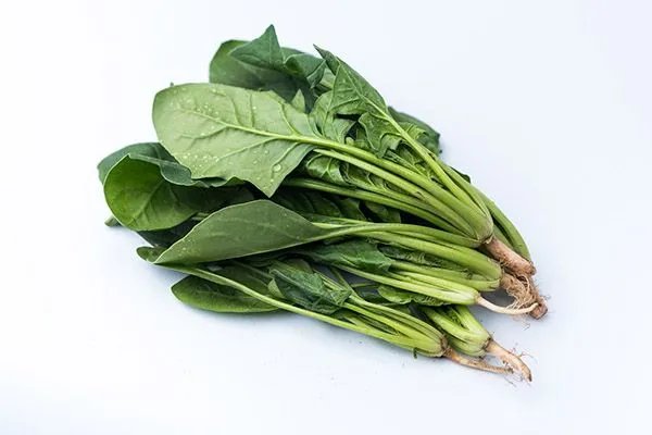 出水痘能吃什么