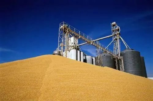 400吨储备粮神秘消失，这背后究竟有什么猫腻？