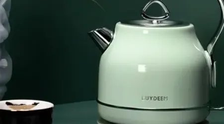 十大品牌电水壶