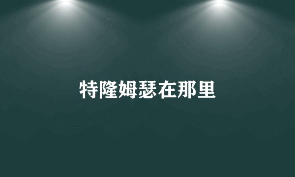 特隆姆瑟在那里