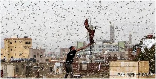 巴基斯坦蝗灾怎么样了？最近怎么感觉没人提及？