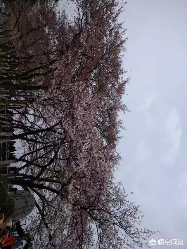 钱负担不起什么意思