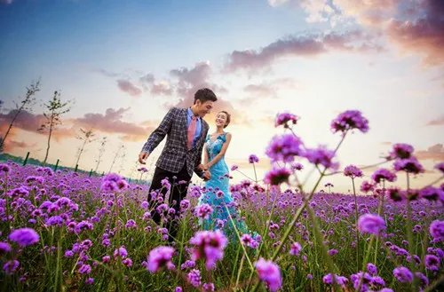 拍薰衣草婚纱照的拍摄技巧  拍薰衣草婚纱照的注意事项