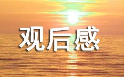 《失落的战场》观后感