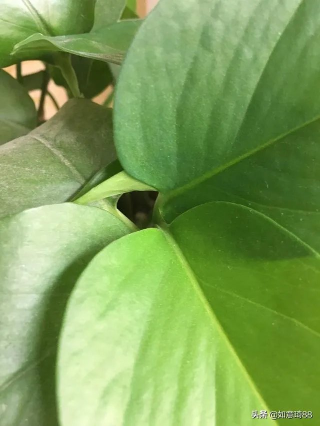 剩女难嫁是因为什么?