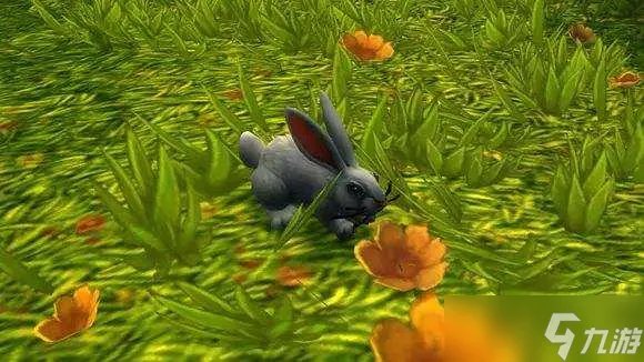 魔兽世界战场日常任务在哪接 魔兽世界日常任务在哪里接一览