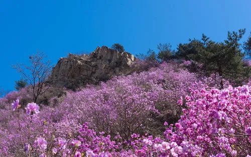 国内各地区五一旅游热门景点排行 国内五一旅游最佳去处推荐