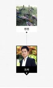 家谱的制作方法？