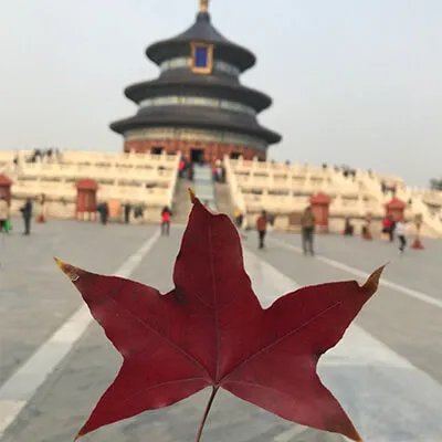 				陕西妇幼保健院三代试管婴儿助孕详细流程是怎么样的？			