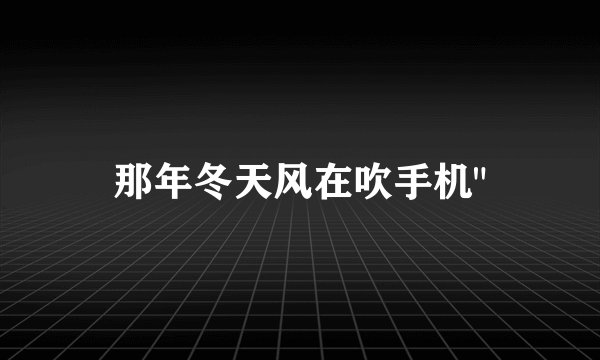 那年冬天风在吹手机