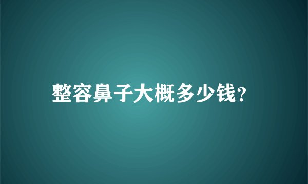 整容鼻子大概多少钱？