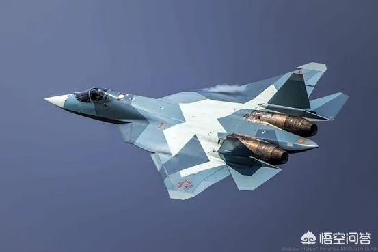 你认为苏霍伊T-50战斗机的实战能力怎么样？