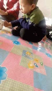 有哪些搞笑gif动画呢?