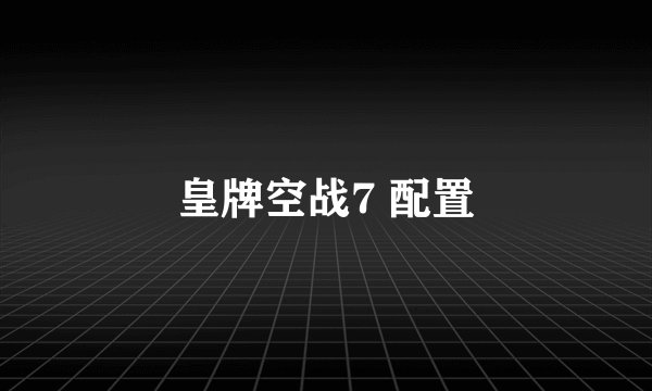 皇牌空战7 配置