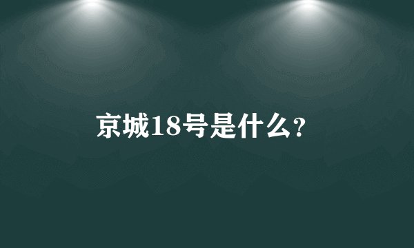 京城18号是什么？