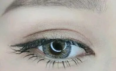 眼皮吸脂大约多少钱